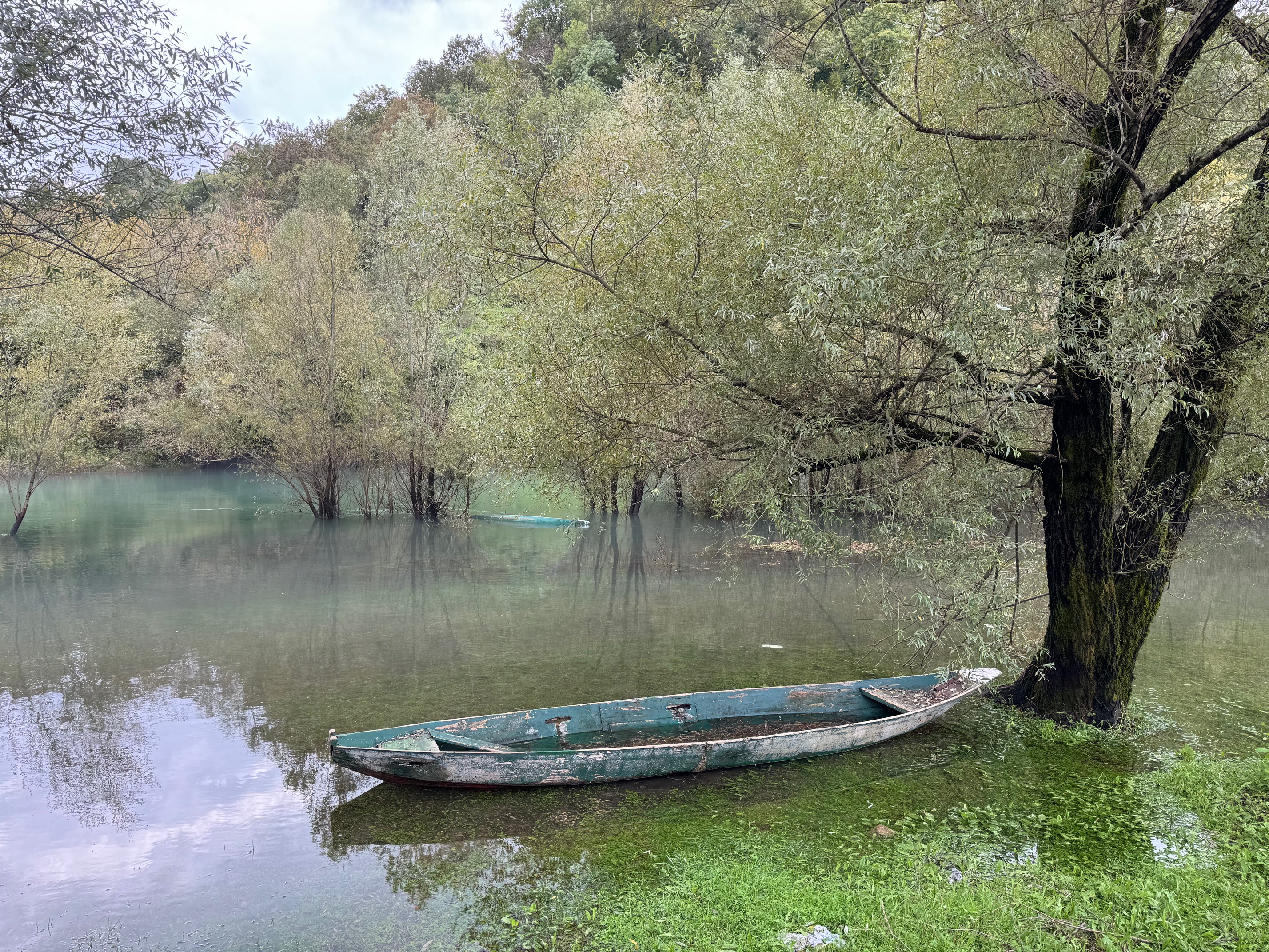 Mystik Baum Boot 2